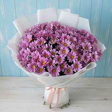 Букет цветов из:  Хризантемы в Химках