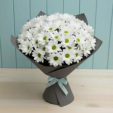 Букет цветов из:  Хризантемы в Химках